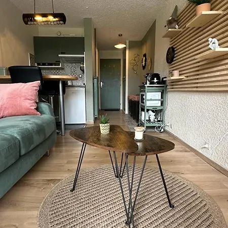 Cosy Renove Avec Balcon Sud - 2 Pers. - Fr-1-836-15 * Arâches